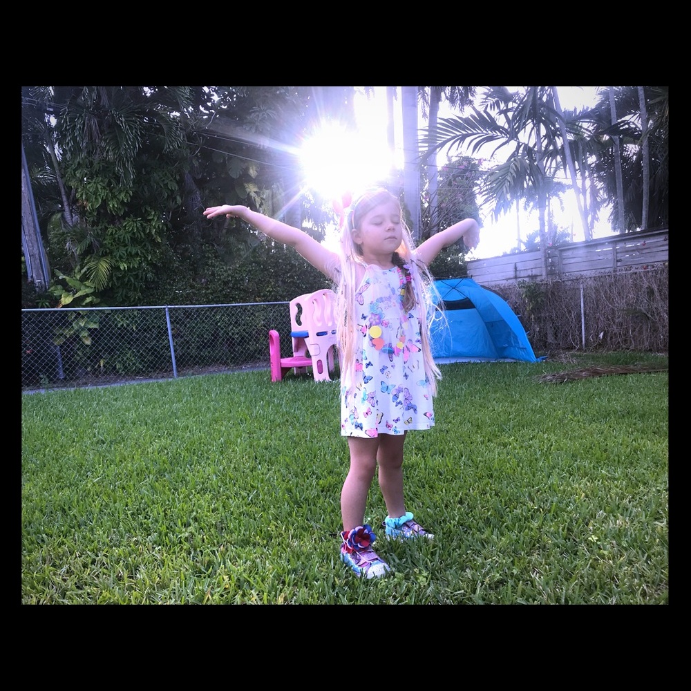 Hm butterflies dress